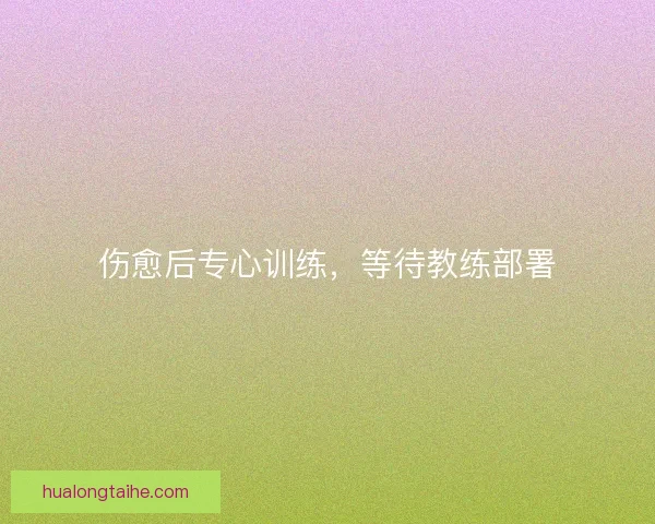 伤愈后专心训练，等待教练部署